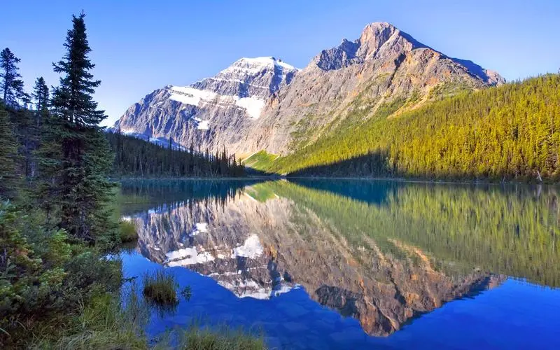 创意创意可靠性
